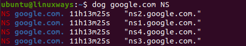 DNS NS Record query