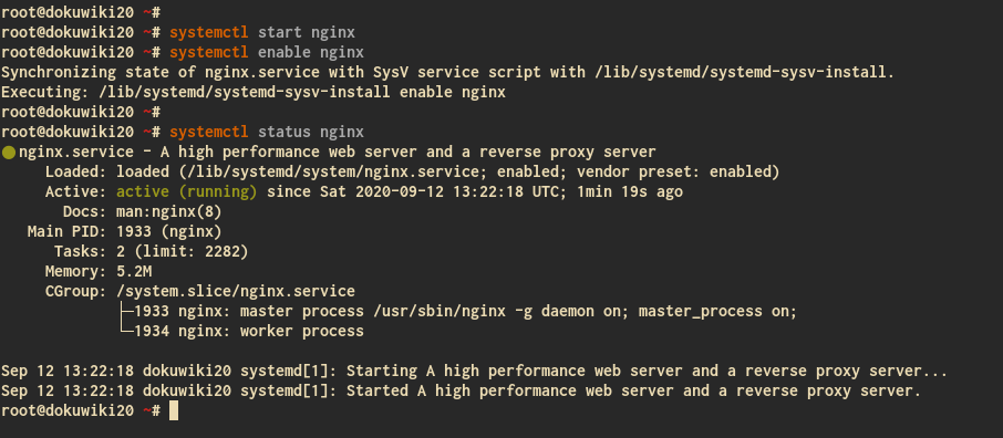 Install Nginx Webserver
