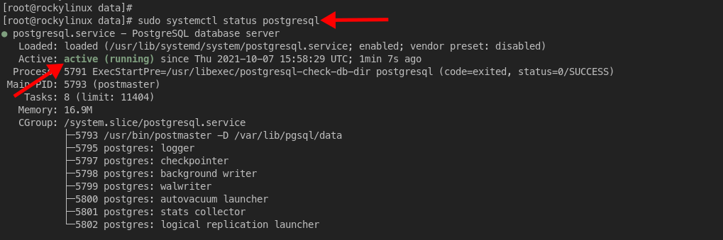 Verify PostgreSQL service