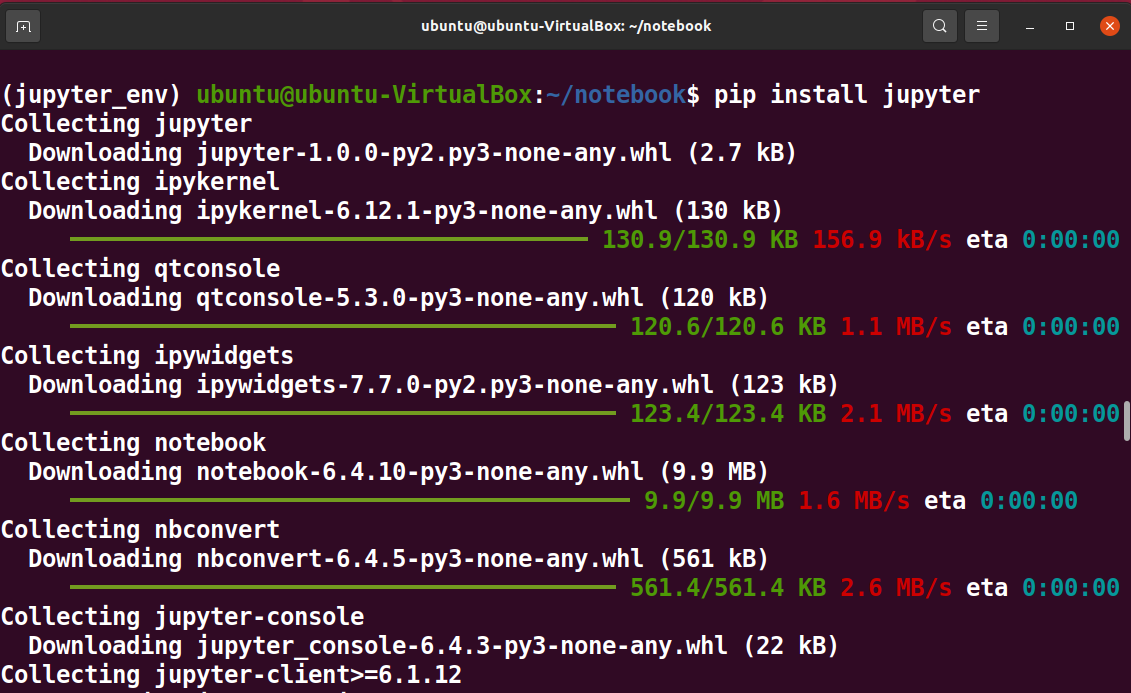 Install Jupyter Notebook