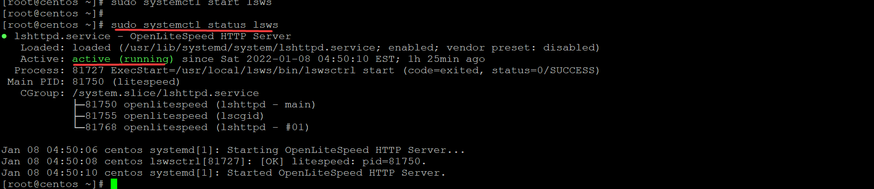 Start Litespeed web service